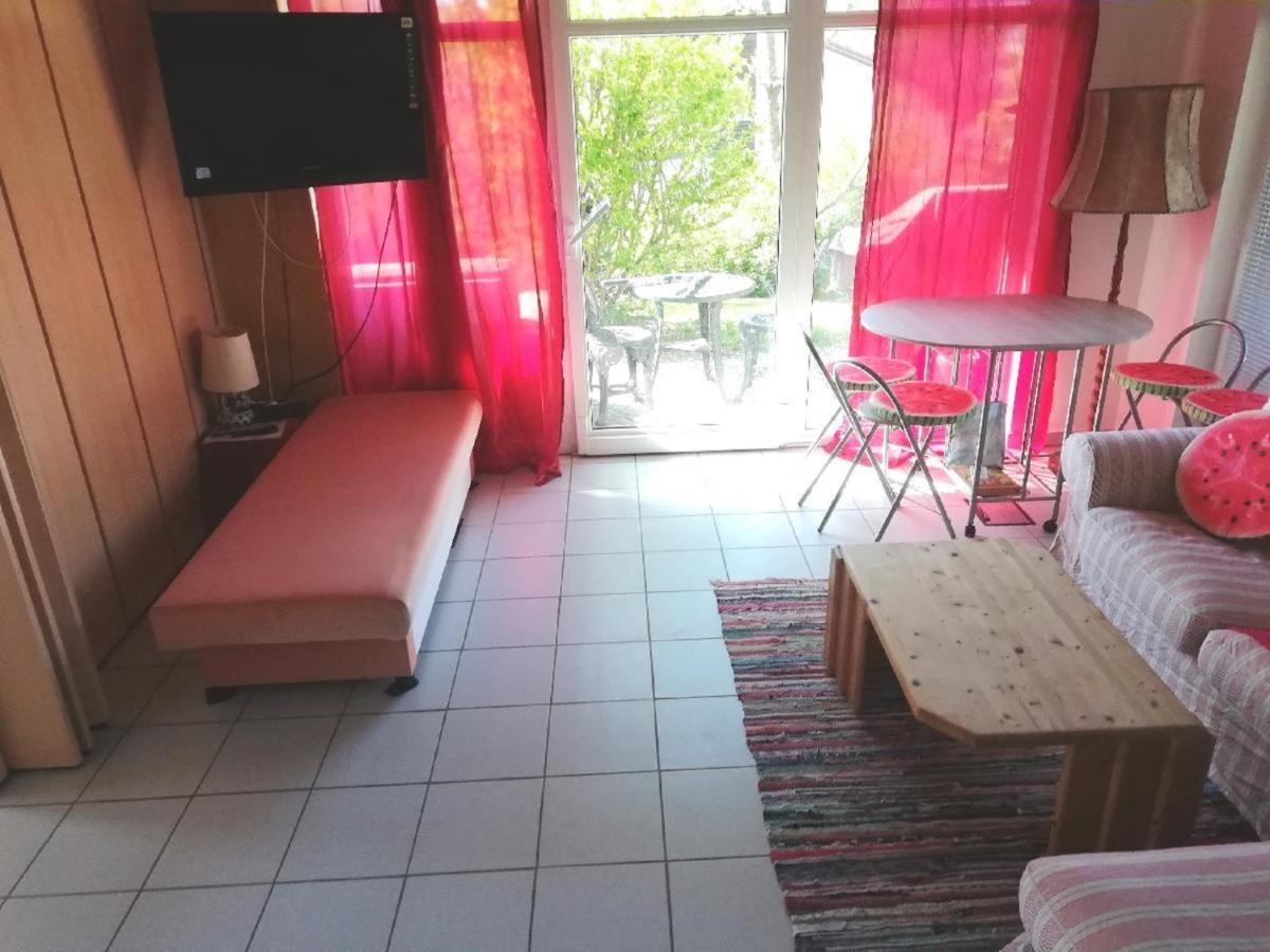 Ferienwohnung Bauer-Power ボーデンマイス エクステリア 写真